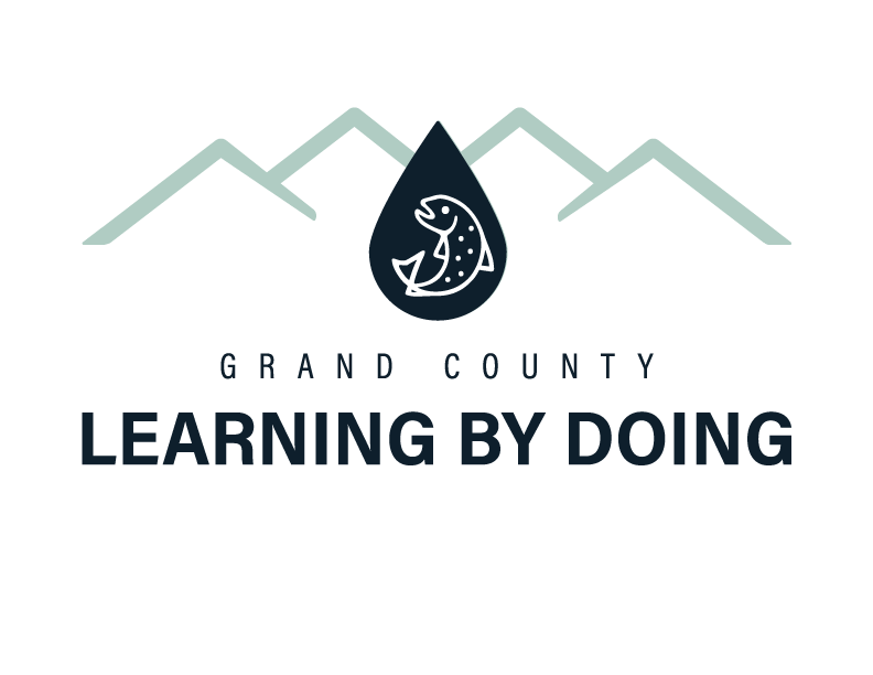 Learning by Doing Logo Learning by Doing Logo